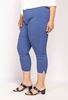 Picture of CURVY GIRL STRETCH ELASTICATED WAIST THREE QUARTER CAPRI